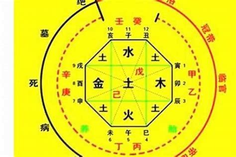 金輿 八字|八字神煞解析——金輿